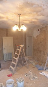 Nach der Verwüstung Nach der Verwüstung